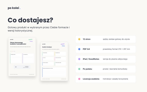 Planer domowego budżetu i oszczędności - iPad / GoodNotes - czarno-biała
